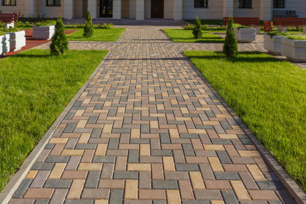 Best Driveway Paving Contractor  in USA